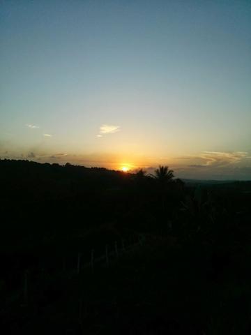Vendo Sítio em Vitória de Santo Antão - Foto 8