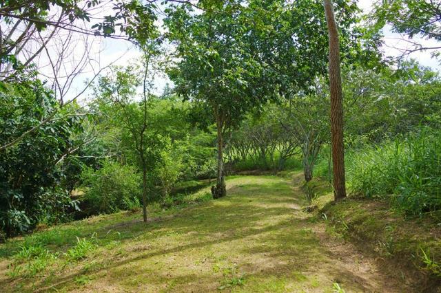 Terreno no Condimínio Monte Verde, Alto Padrão em Caruaru, BR-232 - Foto 12