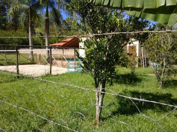 Granja plana c 2.000m² + casa (ref.:8123) edinaldo imóveis - Foto 8