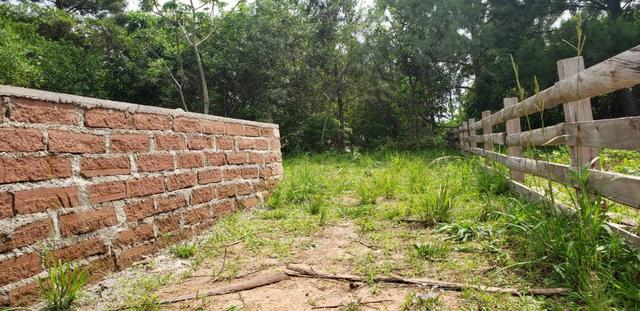 Excelente terreno para construir!!!!! - Foto 3