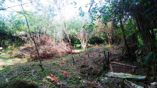 Terreno, Protásio Alves, Porto Alegre-RS - Foto 5