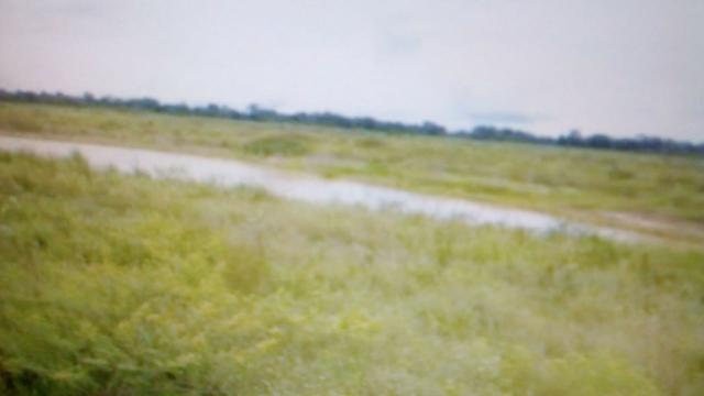 Fazenda 88 mil hectares de porteira fechada localizada na transpantaneira 220 km de Cuiabá - Foto 5