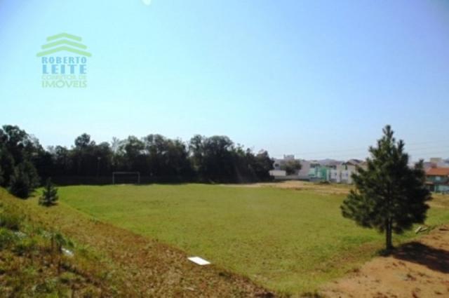 Terreno, Protásio Alves, Porto Alegre-RS - Foto 12