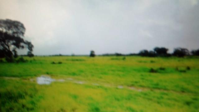 Fazenda 88 mil hectares de porteira fechada localizada na transpantaneira 220 km de Cuiabá - Foto 11