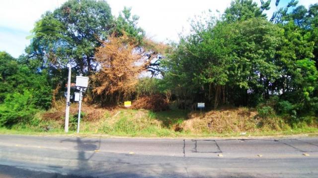 Terreno, Protásio Alves, Porto Alegre-RS