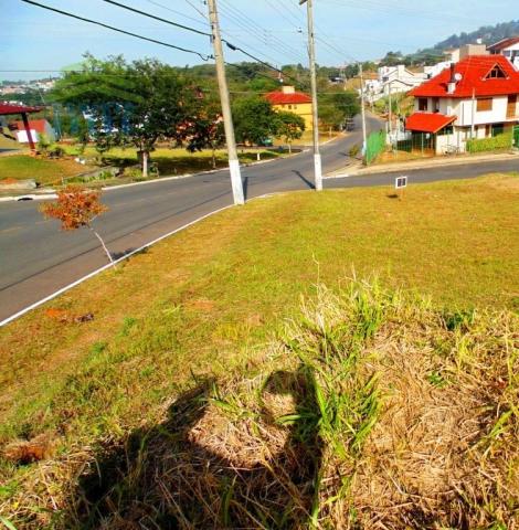 Terreno, Protásio Alves, Porto Alegre-RS - Foto 5
