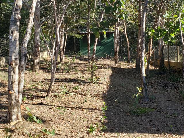 Rancho casa corumba 3 - Foto 7