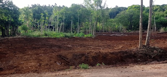 Chácara 1 hectare,com arroio e galpão e frutíferas - Foto 3