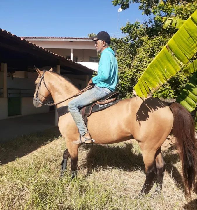 Cavalo de esquerda 