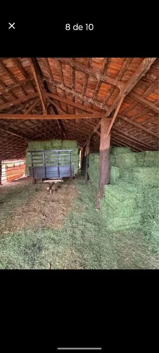 Alfafa fardo 17/20kg - Foto 4