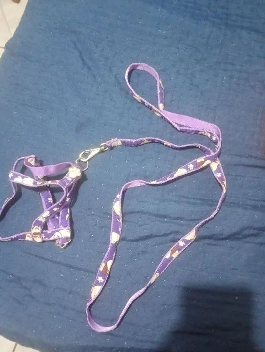 Coleira e Guia para Cães - Foto 2