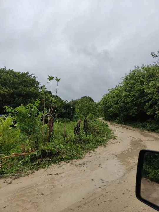 Terreno para sitio de esquina 2 frentes muita plantação de frutas, plano perto Açude Mal c - Foto 8