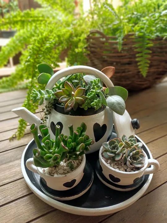 Conjunto de Vasos de Planta em Formato de Chá