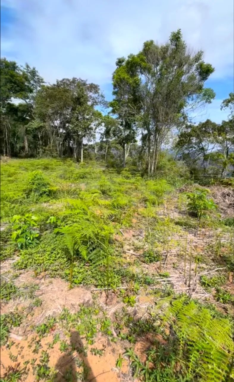 Terreno Rural em Castelo/ES - 19 ha com Energia Elétrica, Água de Nascente e Reserva Legal - Foto 3