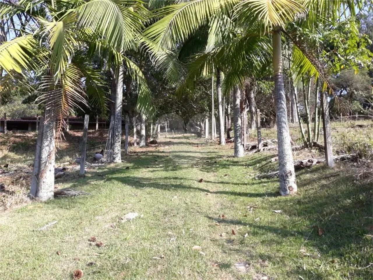 Sítio de 114.950 m2 a venda - Foto 3