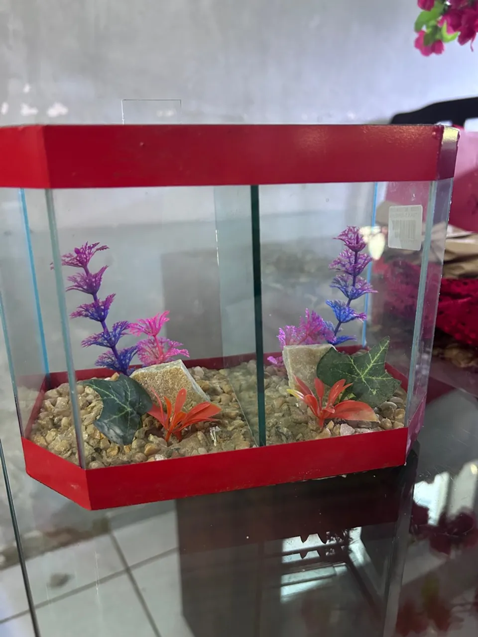 Aquário Decorativo para Beta