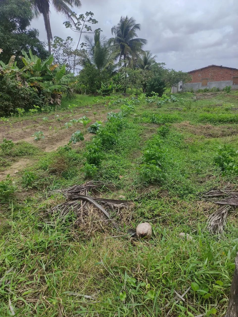 Sítio com casamuito bom na cidade  - Foto 8