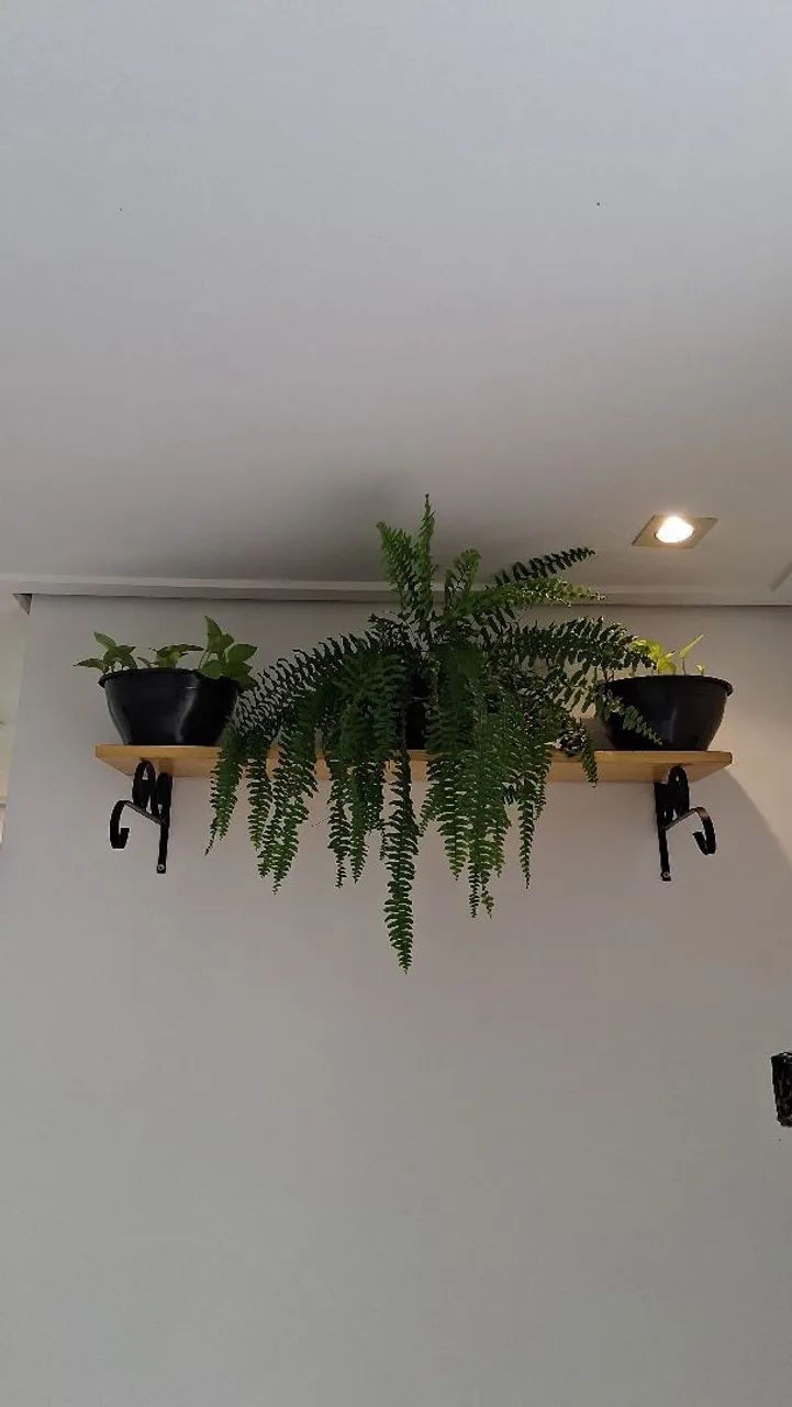 Suporte de Parede para Plantas em Ferro - Estilo Rústico - Foto 2