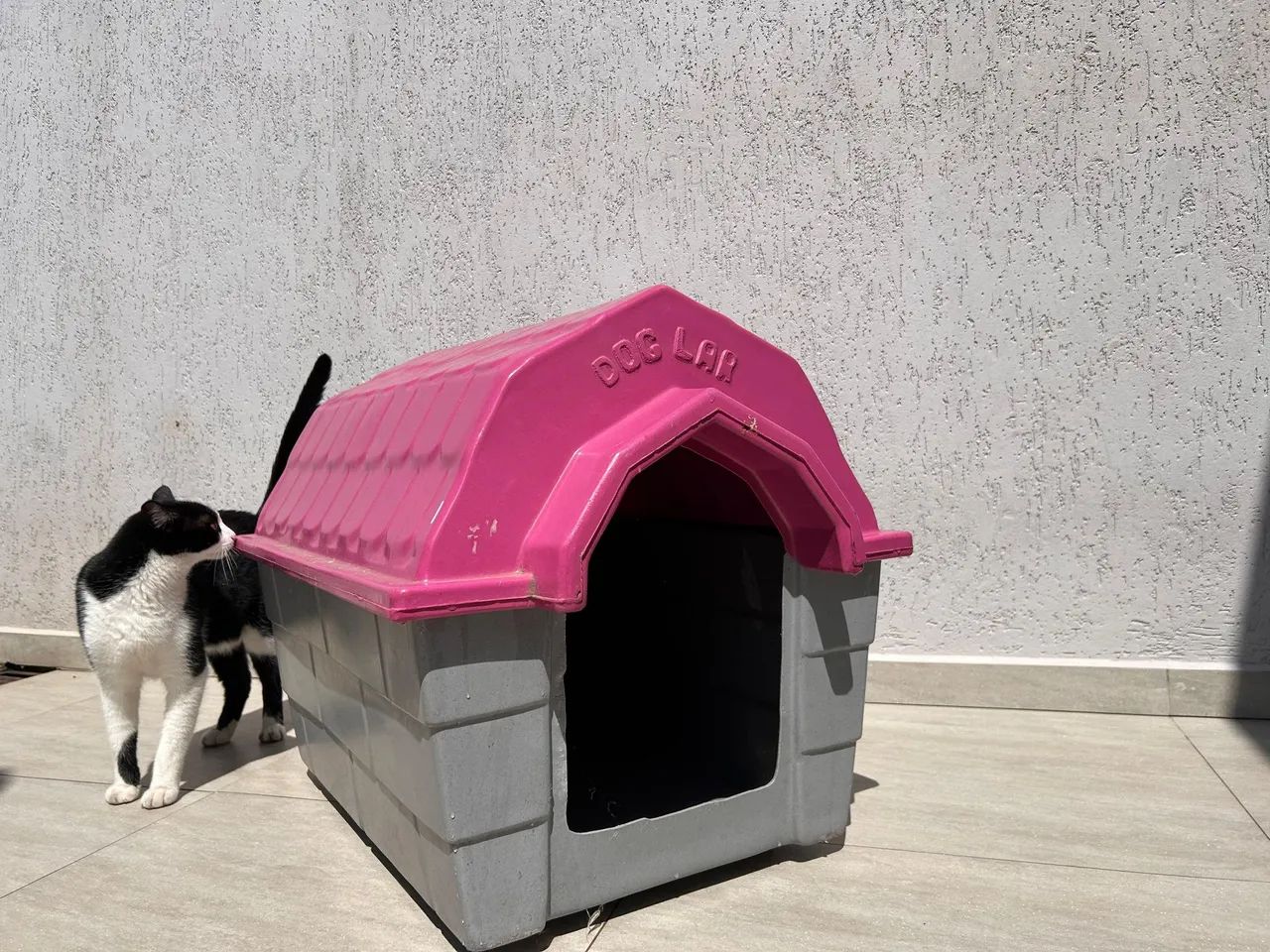 Casinha para cachorro - Foto 3