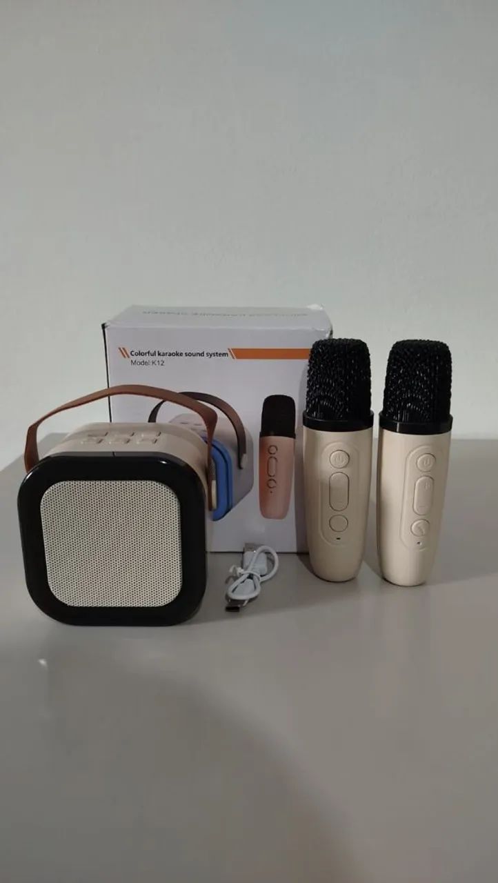 Caixa de som com 2 microfones (ideal para crianças)