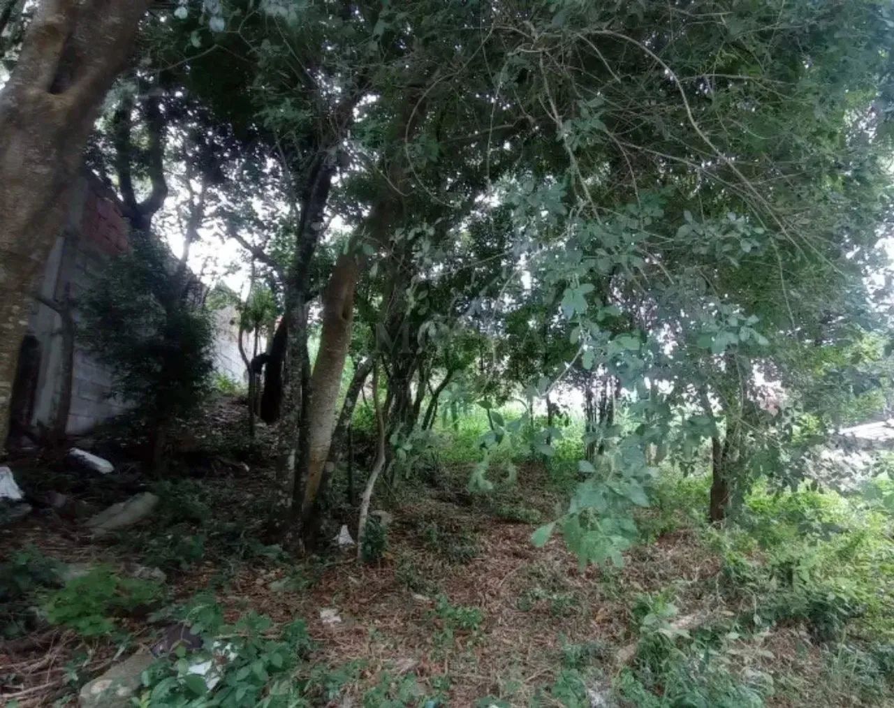 Terreno com 456m2 a venda no Santinho - Florianópolis/SC. - Foto 2