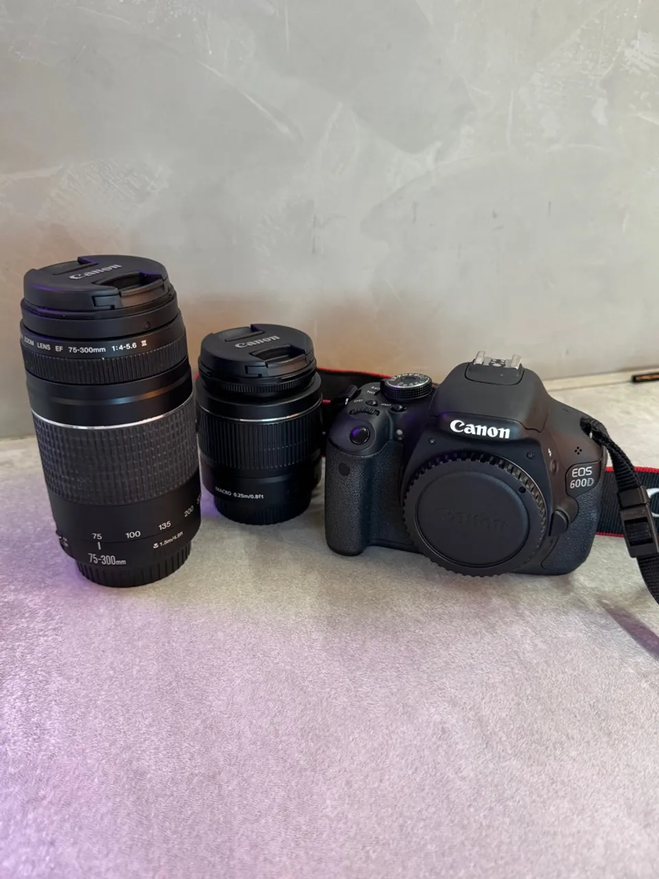 Câmera Canon EOS 600D com Lentes