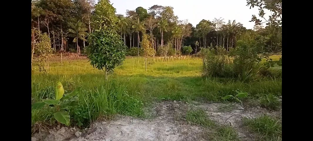 Vendo ou troco sítio  - Foto 2