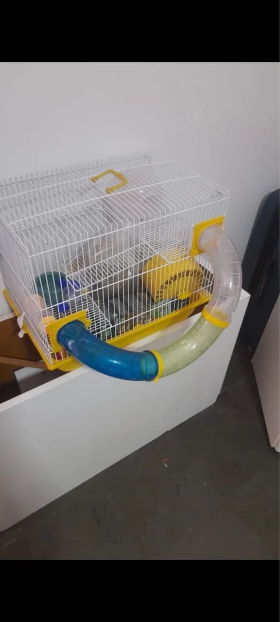 Vende-se gaiola de hamster