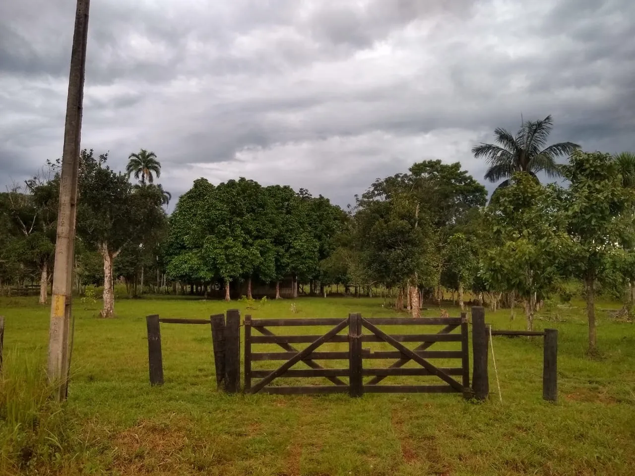 Sítio 25km pvh km13 319