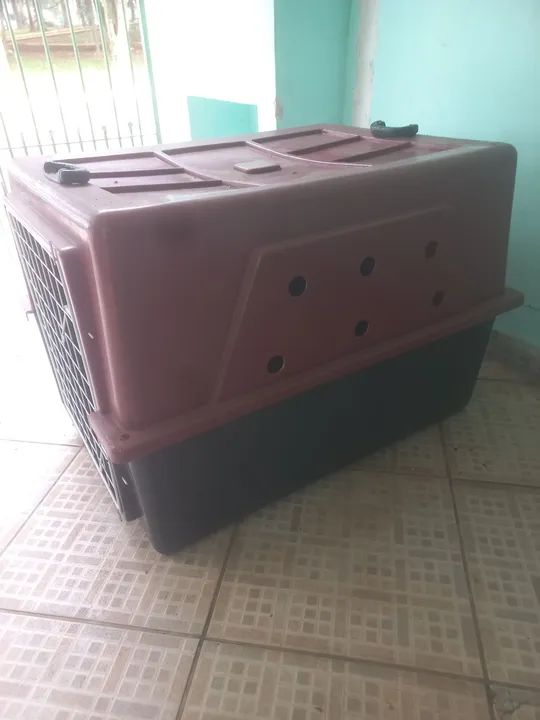 Caixa de Transporte para Cães Grandes N°5 - Foto 2