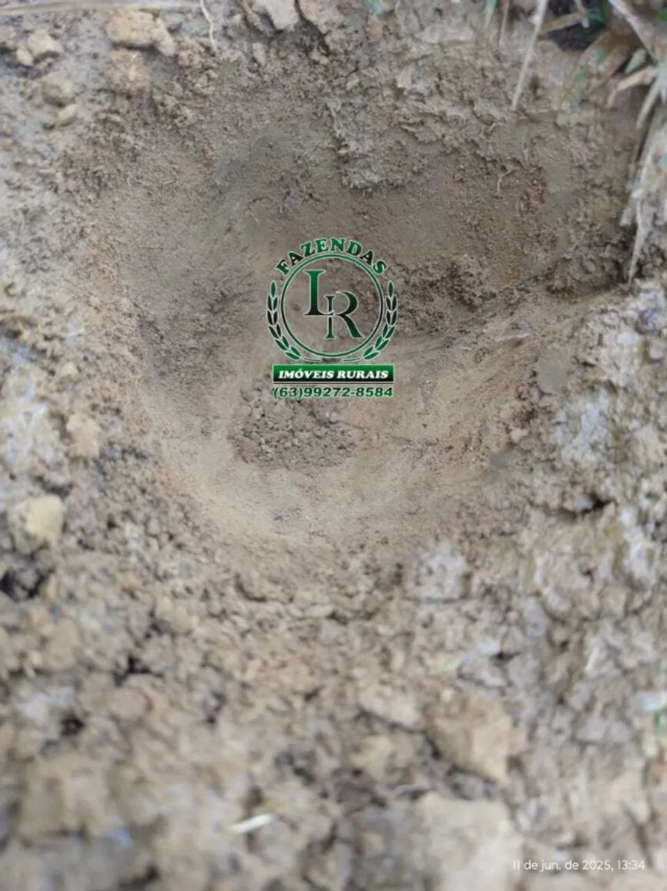 Fazenda 32 Alqueires ou seja 154 Hectares Dupla Aptidão - Foto 5