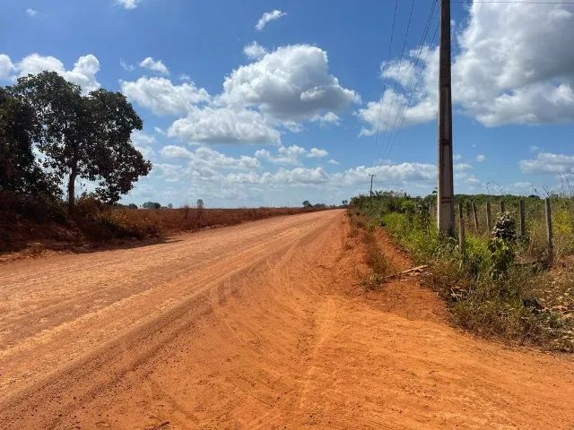 Fazenda Buriticupu-MA / 40 Alqueire - Foto 2