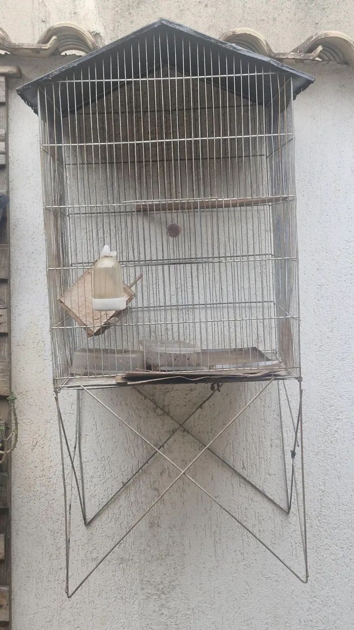 BARATO PRA SAIR RAPIDO 