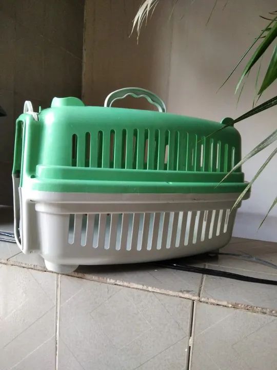 Caixa de transporte pet número 1 - Foto 4