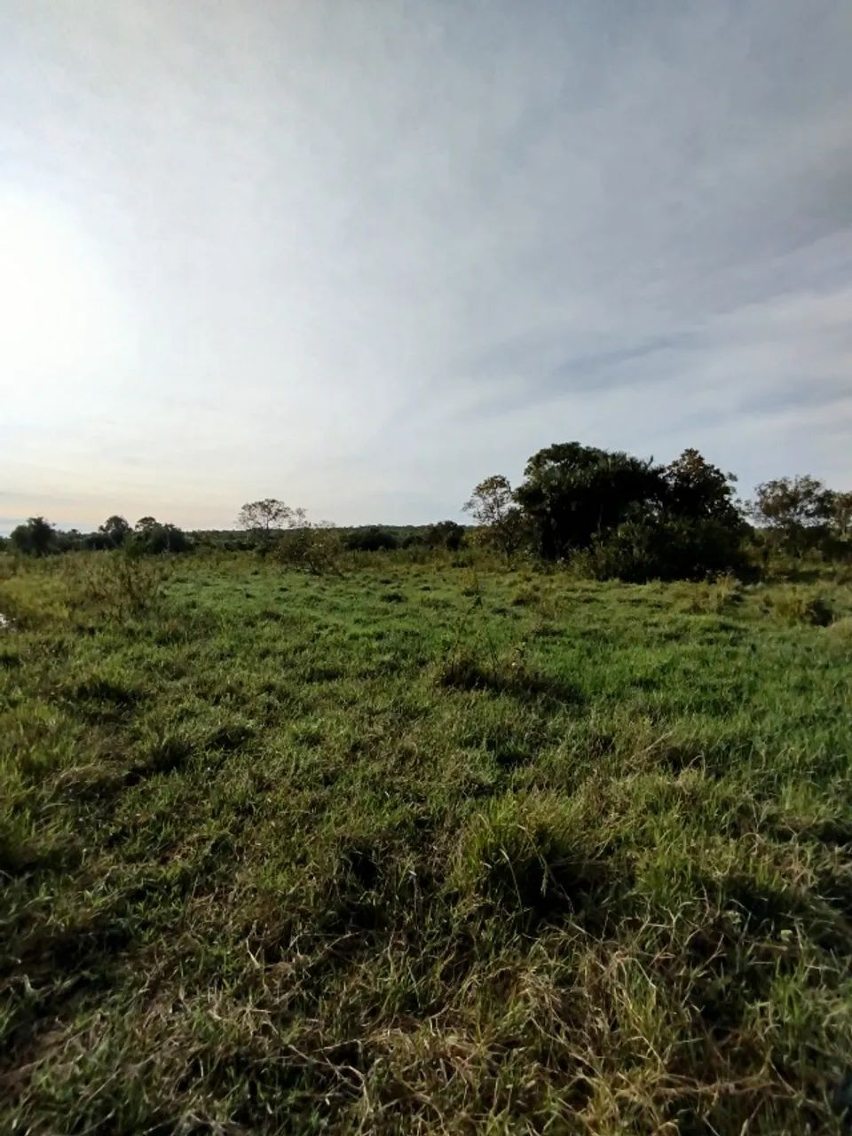 FAZENDA EM FORMOSO DO ARAGUAIA - TO