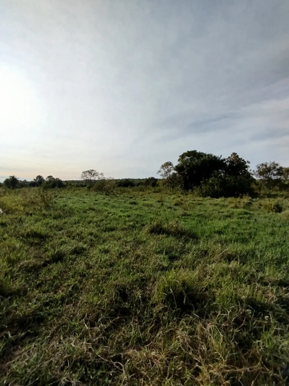 FAZENDA EM FORMOSO DO ARAGUAIA - TO