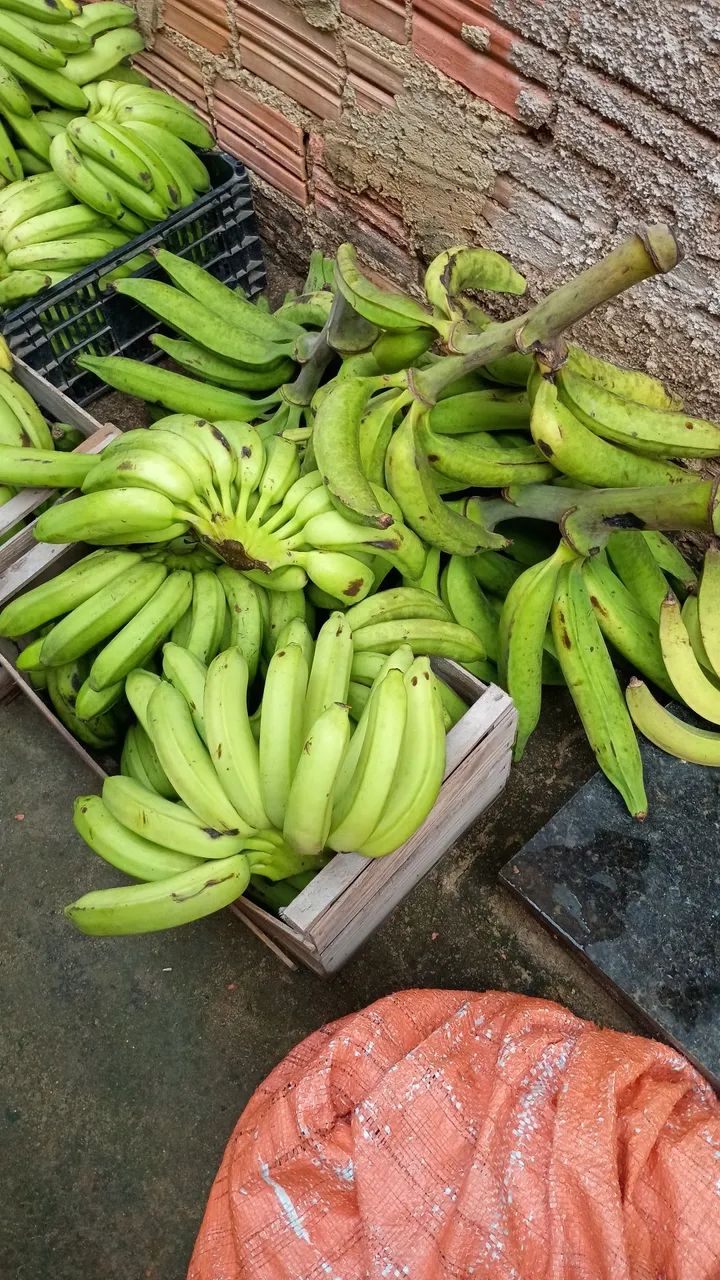 Chácara no cujubim  - Foto 4