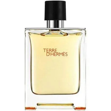 Terre d Hermes EDT 100mL Tester