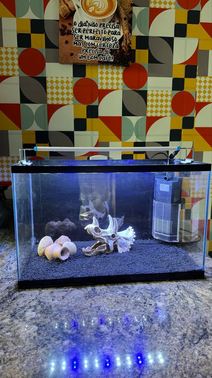 AQUÁRIO 30 LITROS  - Foto 2
