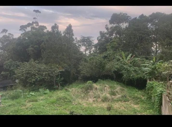 Terreno na praia da Armação sul da ilha  - Foto 5