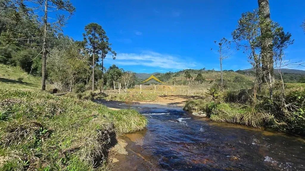 Terreno com 59,6 hectares em Rio Rufino