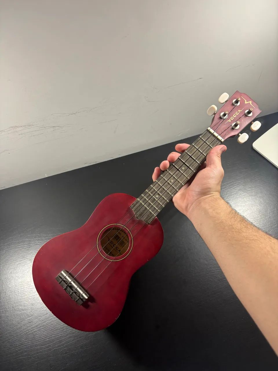 Ukulele Vogga