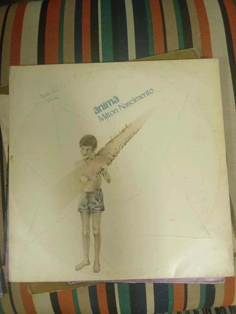 Vendo vinil - Foto 5