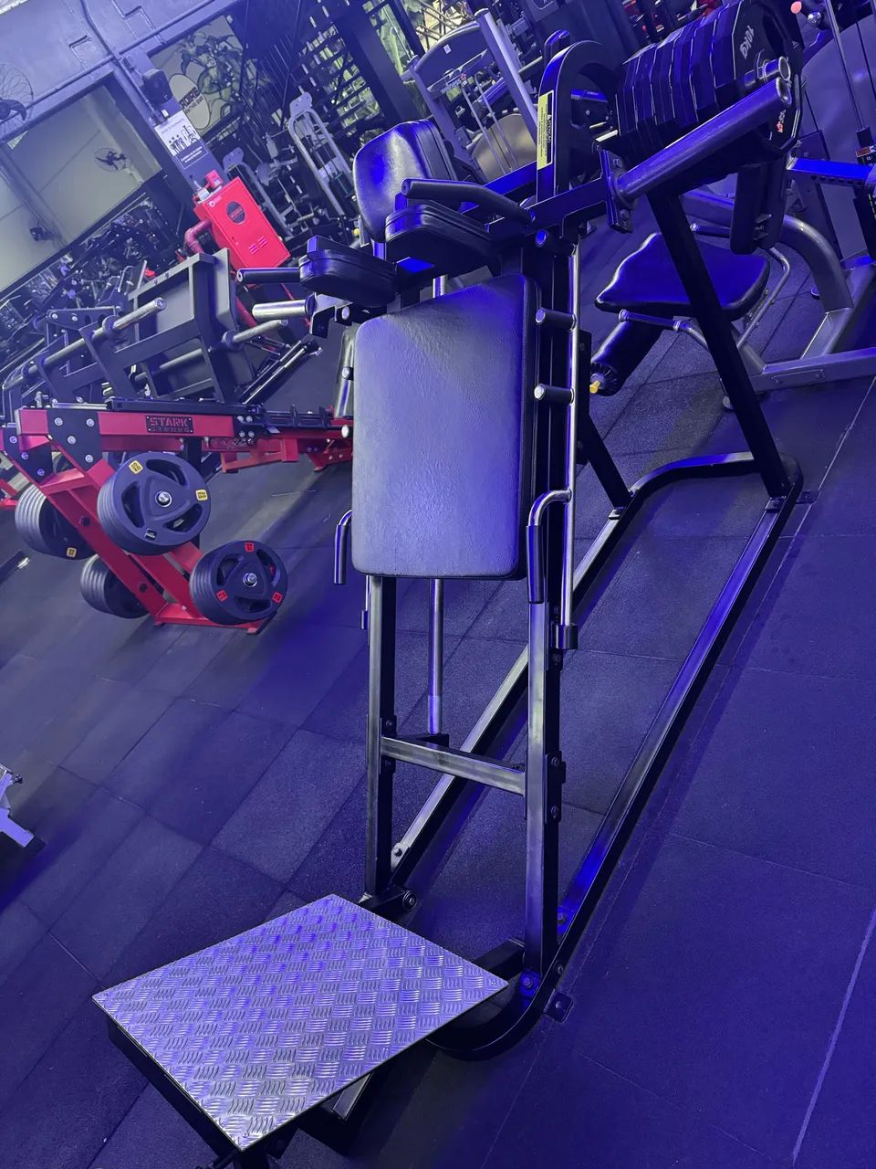 Hack Squat 45º (agachamento)