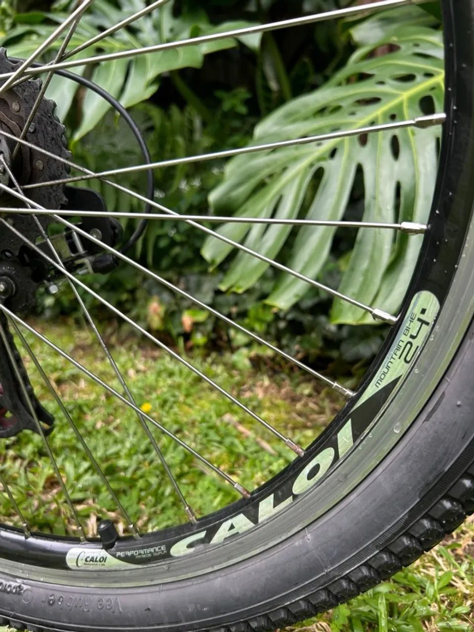 Bicicleta - Foto 2