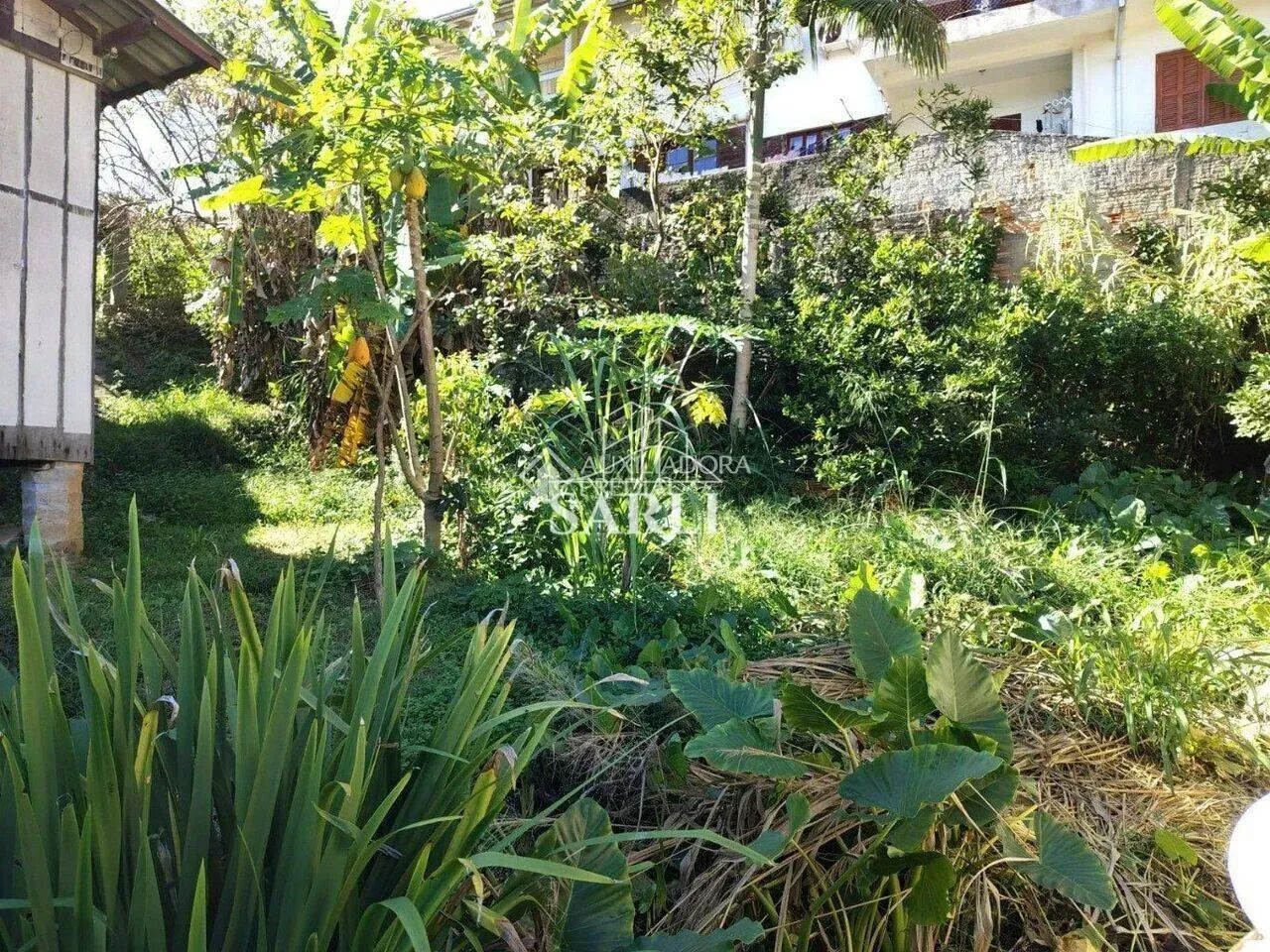 Terreno amplo, de 600 m² Córrego Grande - Florianópolis - Foto 3