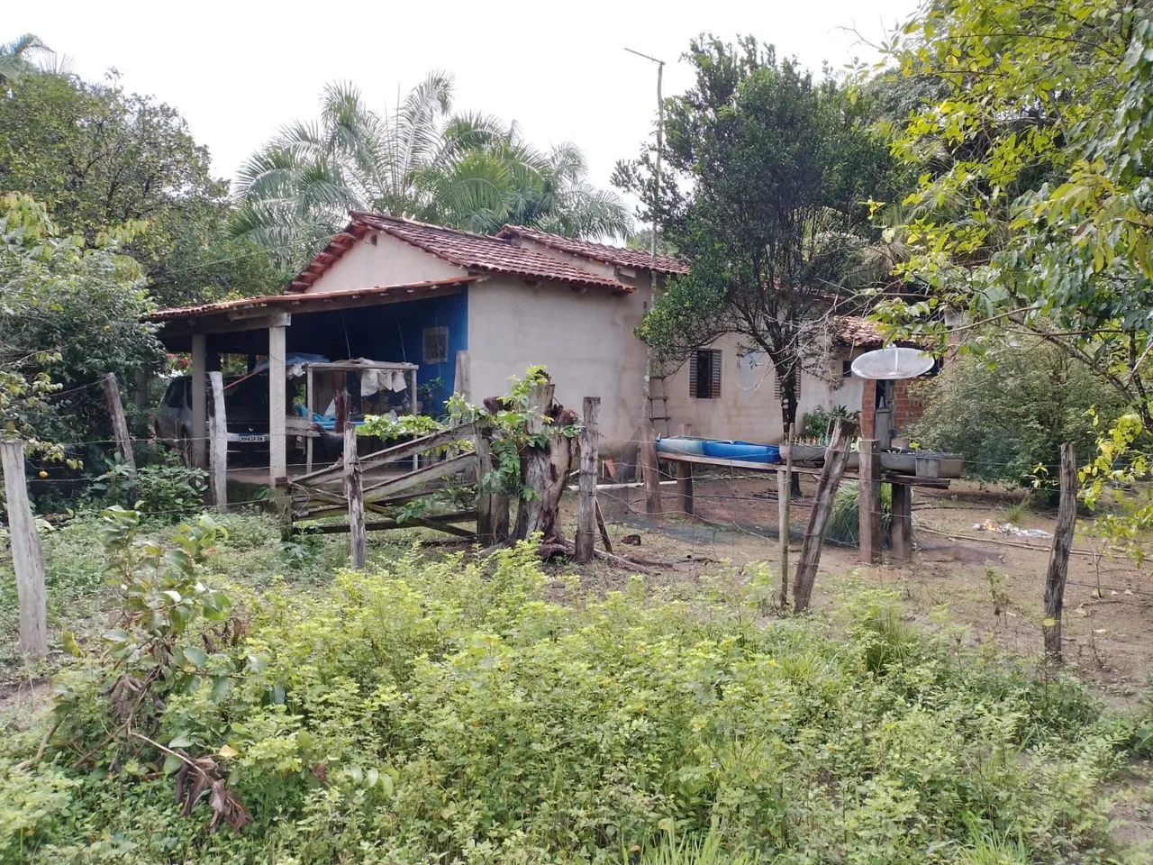 Sítio em Caseara Tocantins  - Foto 2