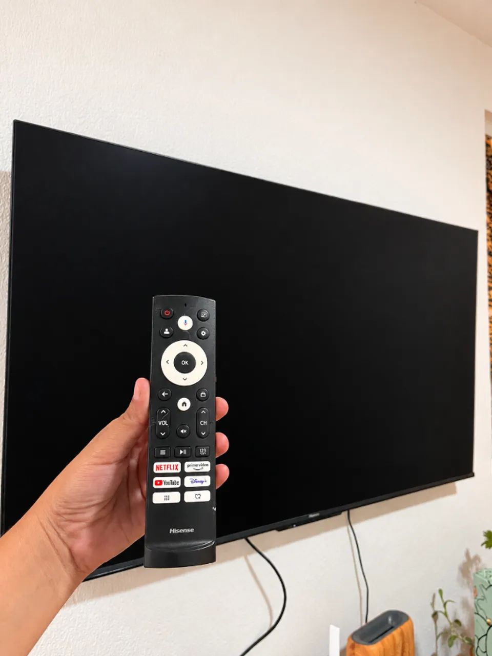 Televisão (TV) 