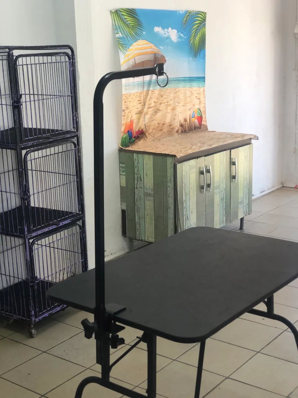 Banho e tosa em funcionamento  - Foto 6