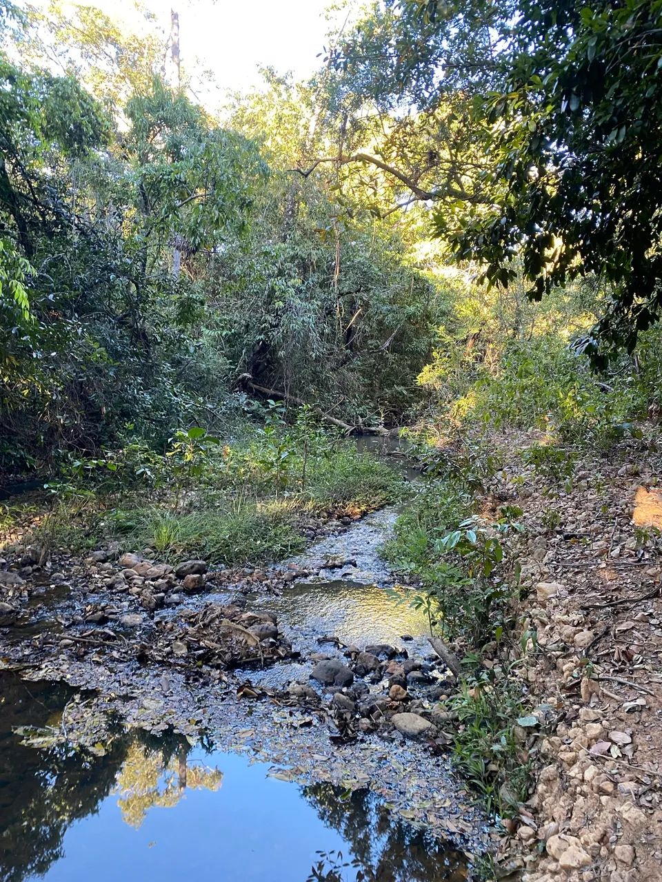 Área de 21000 m2 com córrego nos fundos  - Foto 2